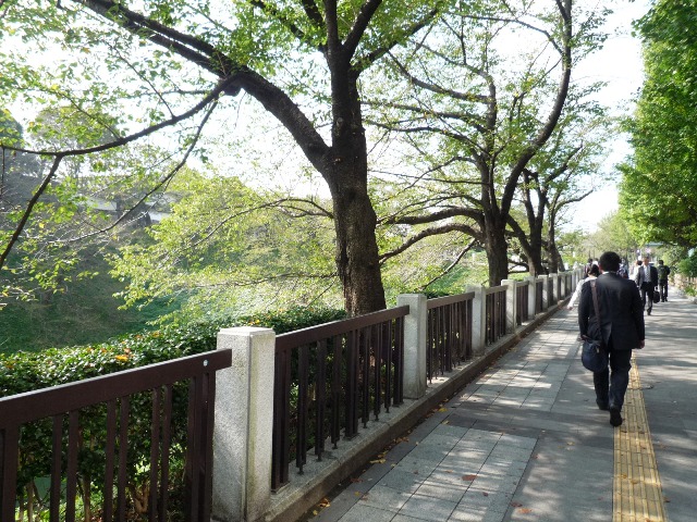 p1070331