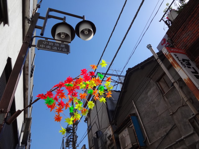 dsc03264