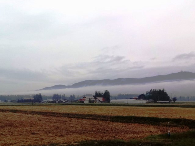 dsc04242
