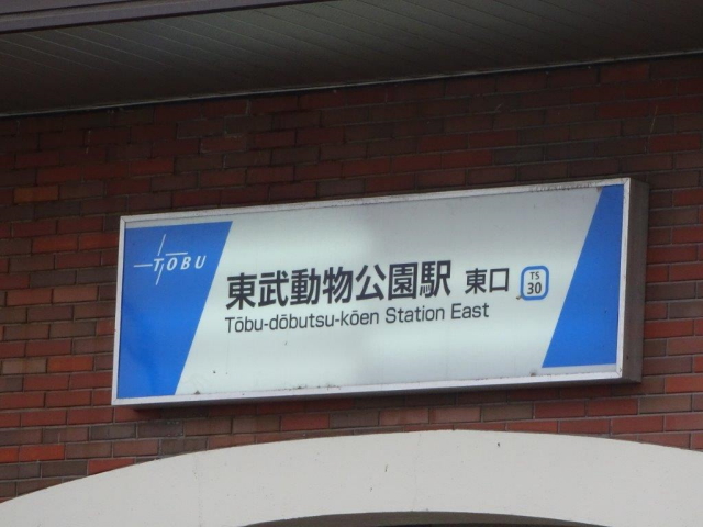 dsc06674-1